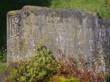 image of grave number 954001